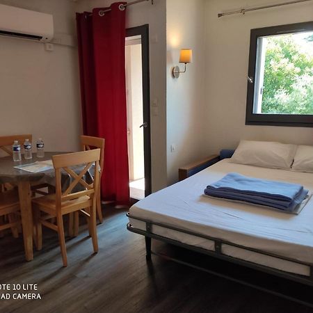 Appartement Les Palmiers นีซ ภายนอก รูปภาพ