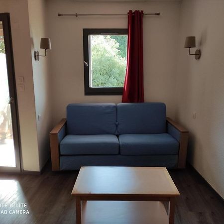 Appartement Les Palmiers นีซ ภายนอก รูปภาพ